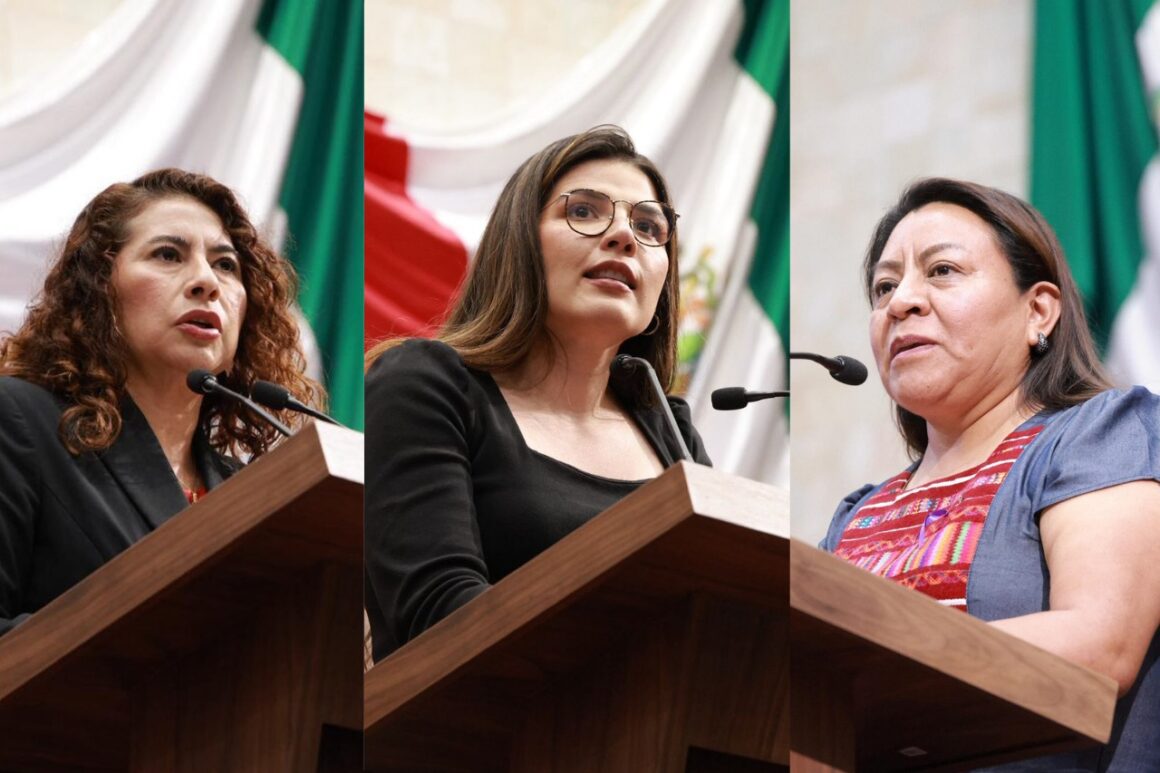 WhatsApp-Image-2026-04-27-at-10.05.15 Proponen restringir licencia de conducir a deudores alimentarios en Oaxaca