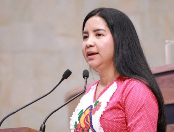 Desde el Congreso del Estado proponen ampliar el concepto de Comunidades Indígenas y asegurar el acceso efectivo a la justicia