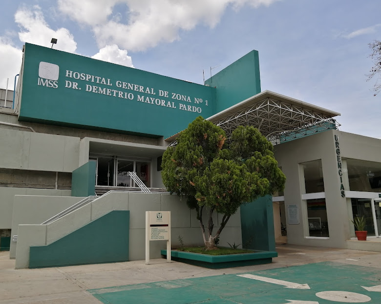 unnamed.jpg Denuncian abandono médico en IMSS Oaxaca; mujer con tumor cerebral sigue sin ser operada