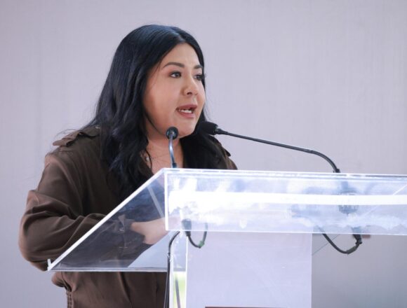 Armonización de la ley de movilidad, una demanda histórica de la entidad: diputada Tania Caballero