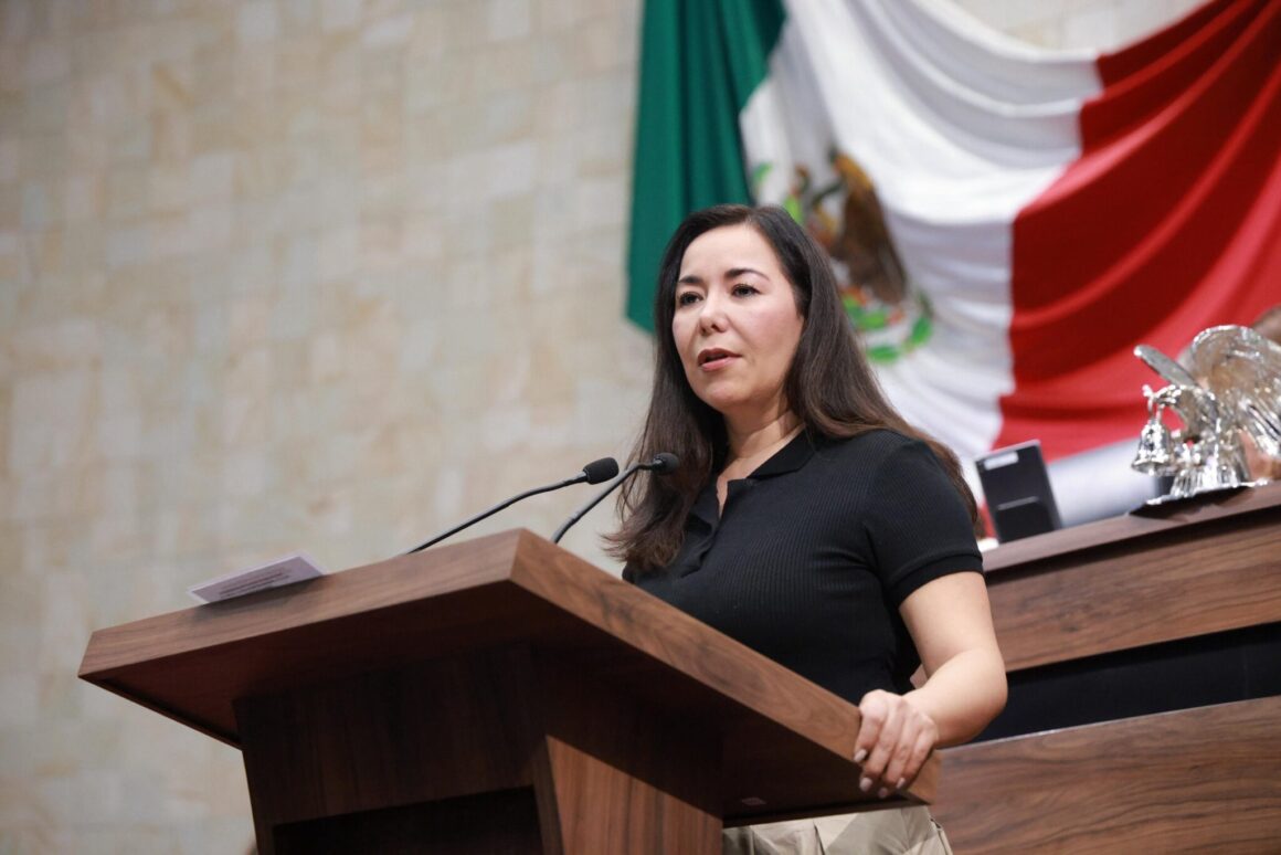Presentan iniciativa para que municipios transparenten gastos, rutas de transporte y Atlas de Riesgos