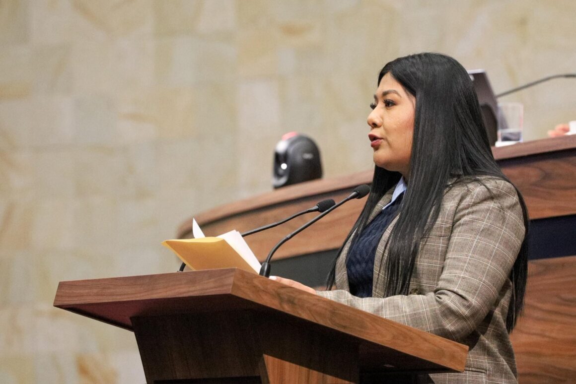 “Los problemas de México los vamos a resolver las y los mexicanos, sin tutelas ni presiones del exterior”: diputada Tania Caballero