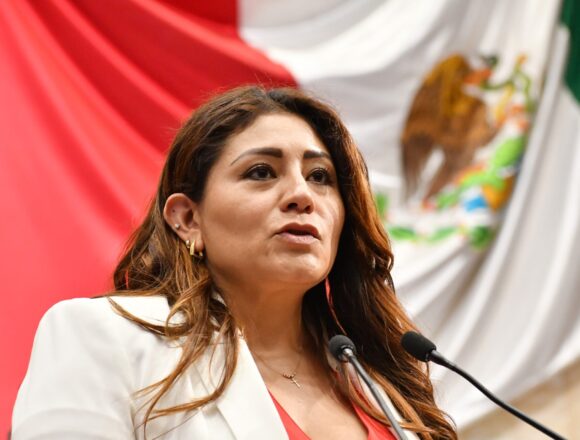 Con iniciativa proponen crear en los Ayuntamientos una Regiduría de Medio Ambiente, Biodiversidad y Sostenibilidad