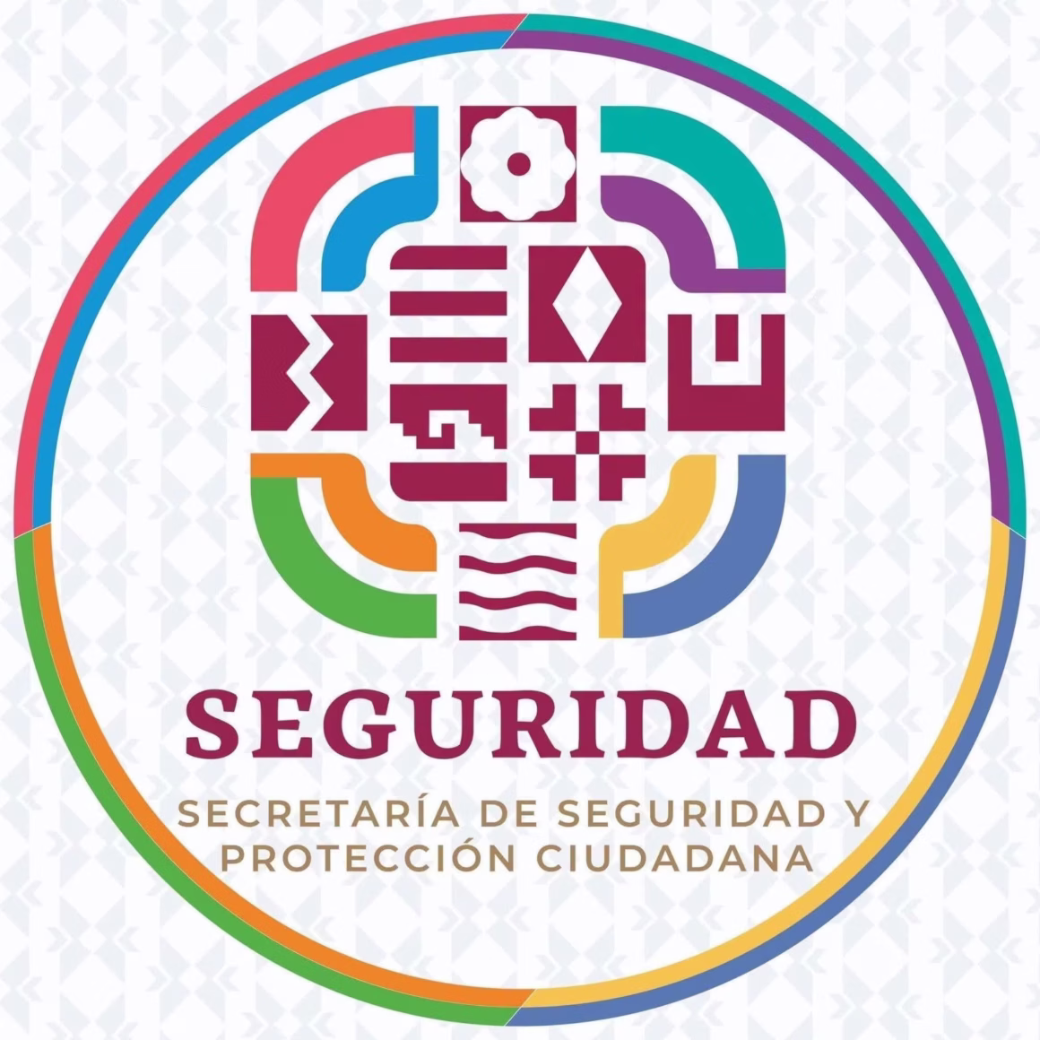 No cederá SSPC ante presiones; persona detenida en Juchitán será puesta a disposición de las autoridades