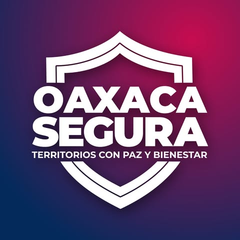 727491943_122130935871085838_6159031688246011875_n Informa Gabinete de Seguridad resultados operativos de la estrategia territorial para la construcción de la paz en la Zona Metropolitana de Oaxaca de Juárez