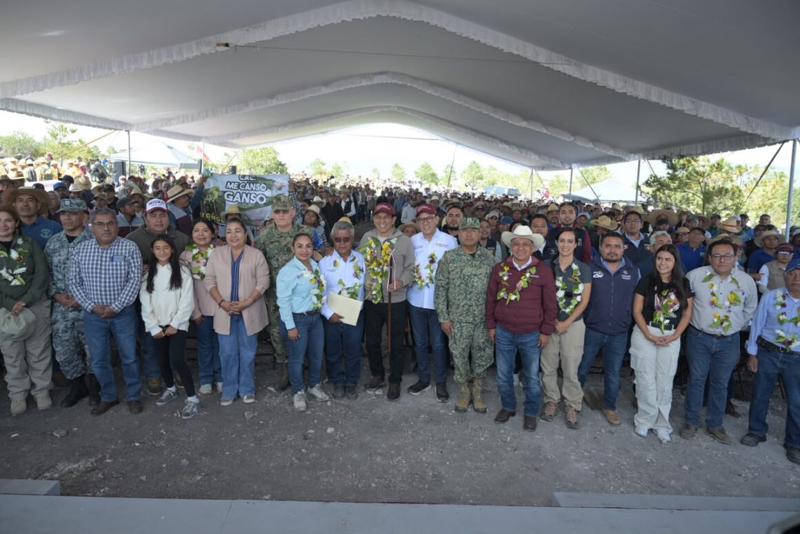 WhatsApp-Image-2026-08-09-at-12.53.15-PM-1 Siembra Oaxaca 12 mil plantas en Teotongo como parte de la Jornada Nacional de Reforestación 2026