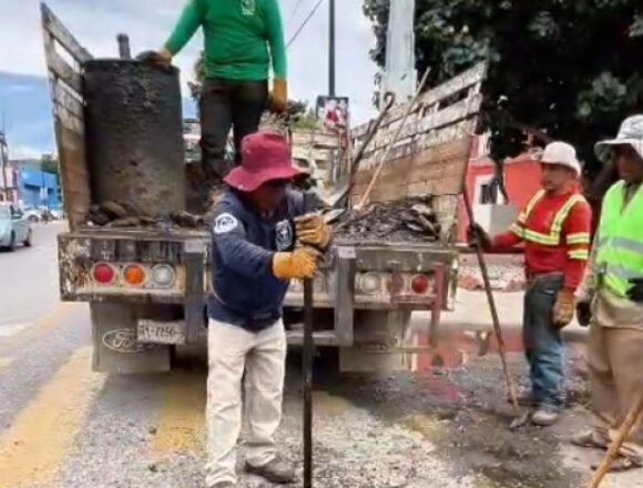 Tache al Bache mejora las condiciones de circulación en Oaxaca de Juárez