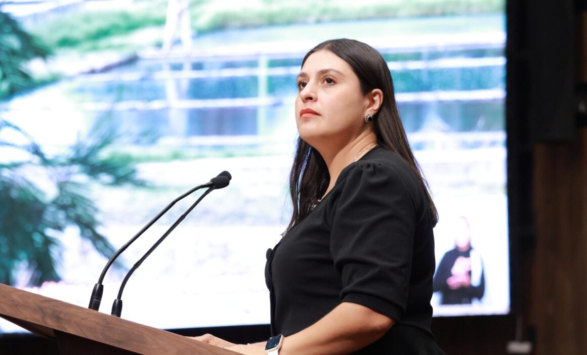Proponen en el Congreso del Estado incorporar la violencia vial a la Ley de Tránsito y Vialidad